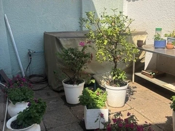 3 Bedroom Garden Flat