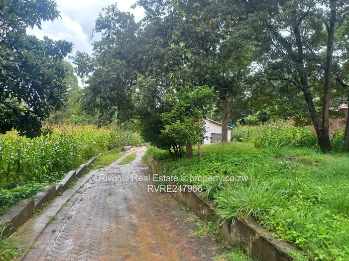 Mature old neighborhood 
