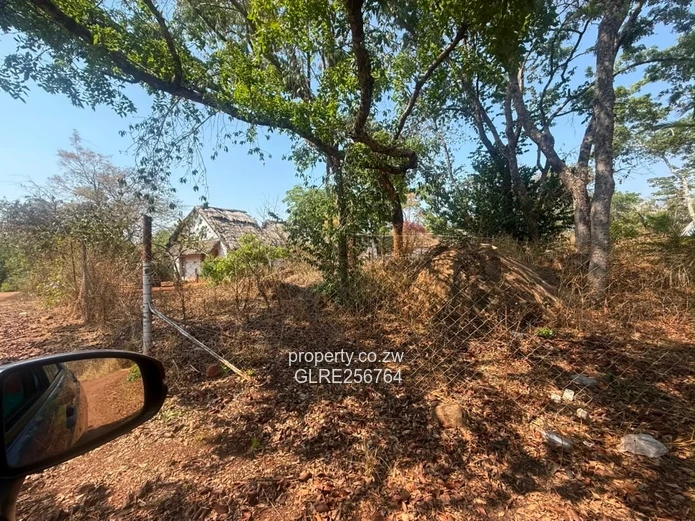 41ha Borrowdale Acreage with Mature Trees & Road Frontage