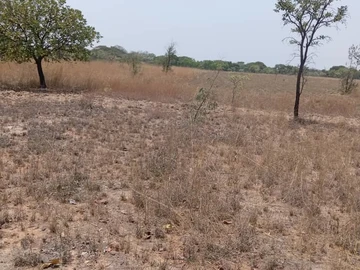 Farm & Agricultural Land
