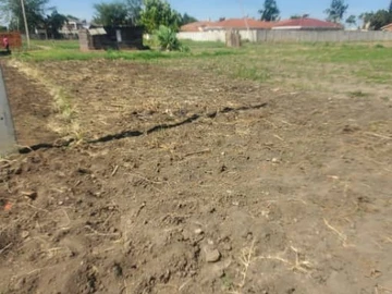 Stands & Residential Land