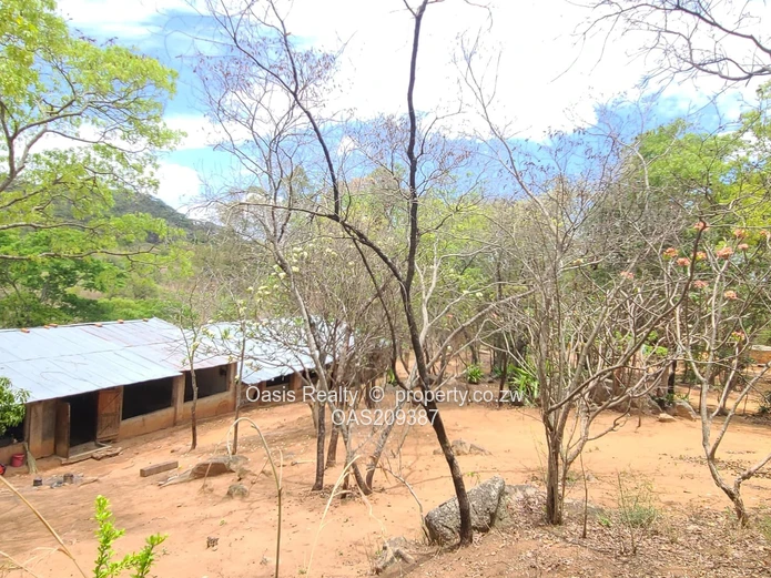 Agro-residential plot for sale in Christon Bank 