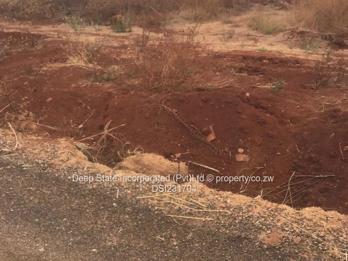 Nyeredzi stand for sale 