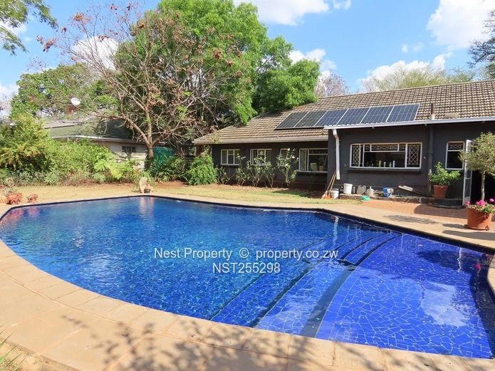 Position and Potential in Alexandra Park!