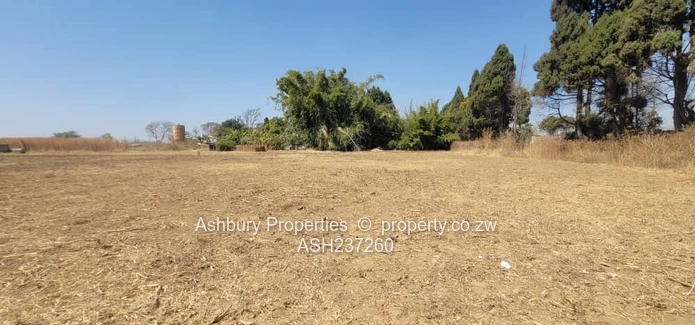 Golden Commercial Opportunity to Establish A Mall & More 