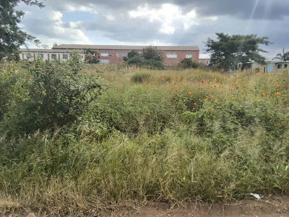 Commercial & Industrial Land