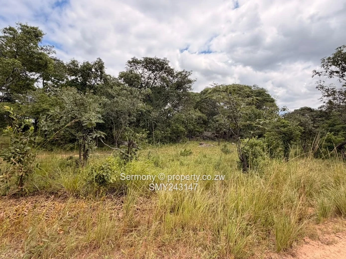 Plots for sale in Chegutu 