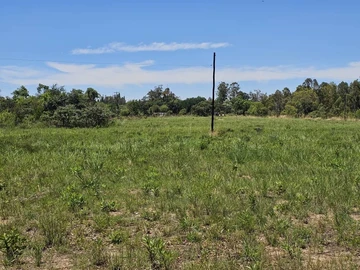 Farm & Agricultural Land