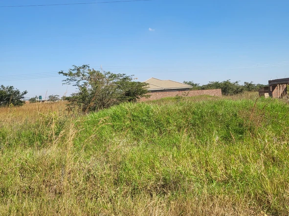 Stands & Residential Land