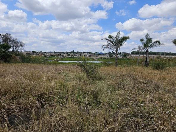 Farm & Agricultural Land