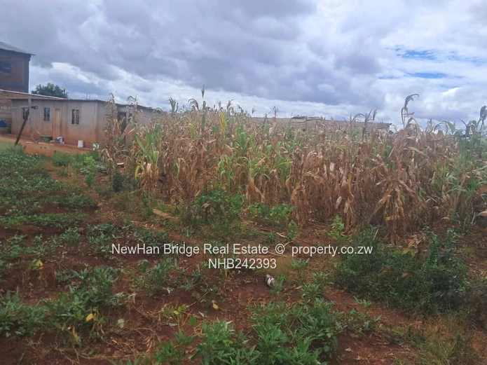 Tynwald Commercial Stand For Sale (Sole Mandate)