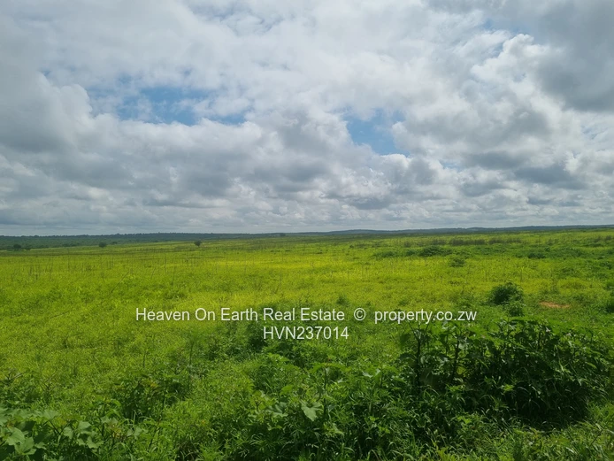 Green Gold For You Farmers!!