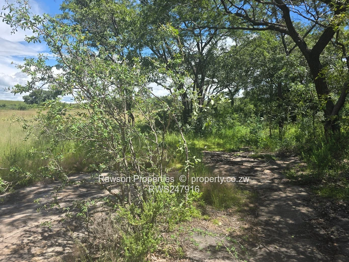 6.7ha Bindura Farm - In Mashonaland Central Province!!