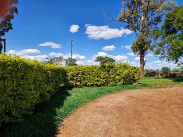 Shop & Retail Property