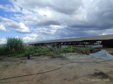 Farm & Agricultural Land