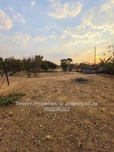 Whitecliff House For Sale 
