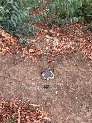 Tynwald pleasant valley Cluster stand for sale