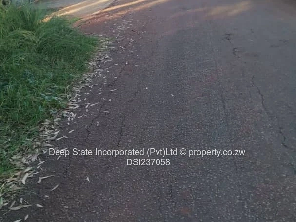 Chishawasha (Gletwin) stand for sale