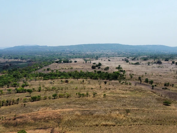 Farm & Agricultural Land
