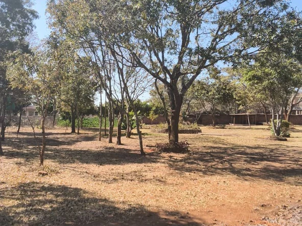 Stands & Residential Land