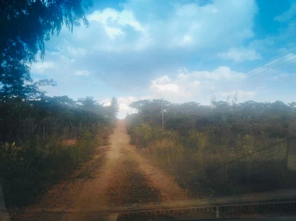 Farm & Agricultural Land