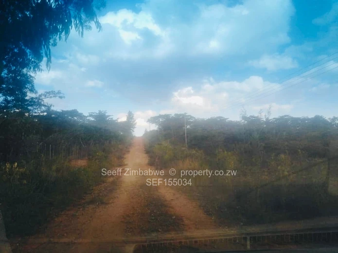 Experience The Nyanga Lifestyle, In Nature's Luxury