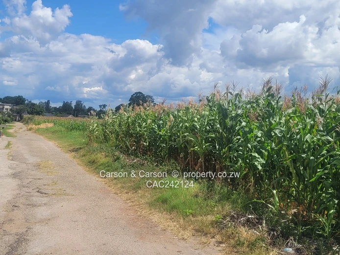 Prime, well established and mature suburb of Chadcombe with massive invetment potential