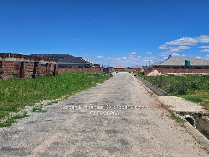 Perfect Opportunity! (Sole Mandate)