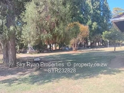 House In Marlborough For Sale 