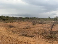 Farm & Agricultural Land