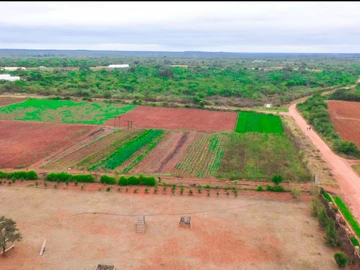 Farm & Agricultural Land