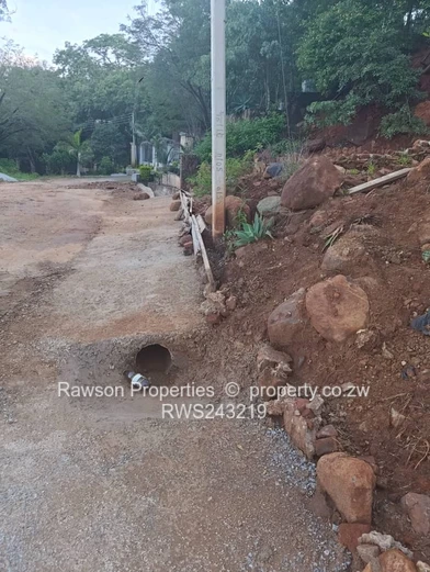 Build your dream home