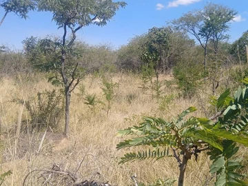 Farm & Agricultural Land