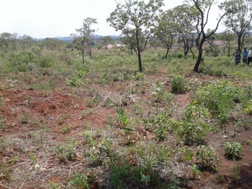 Land