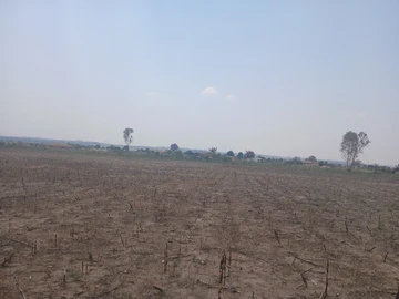 Farm & Agricultural Land