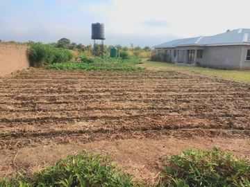 Farm & Agricultural Land