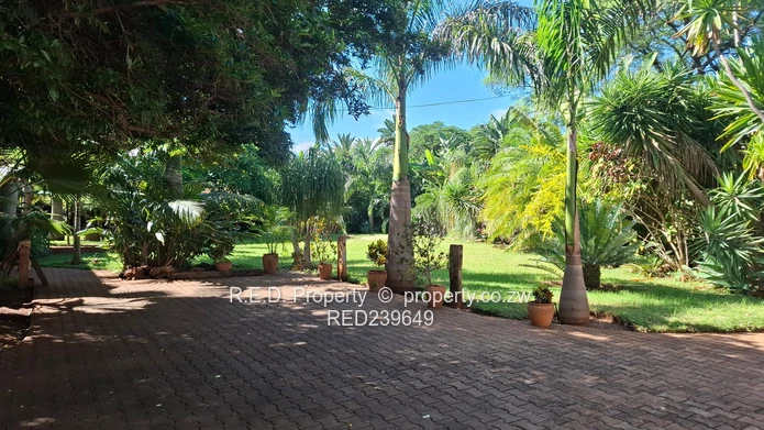 Space, Location, and Opportunity Combined In Kumalo!