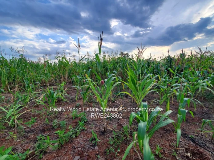 For Sale: Residential Stand in Haydon Park, Harare