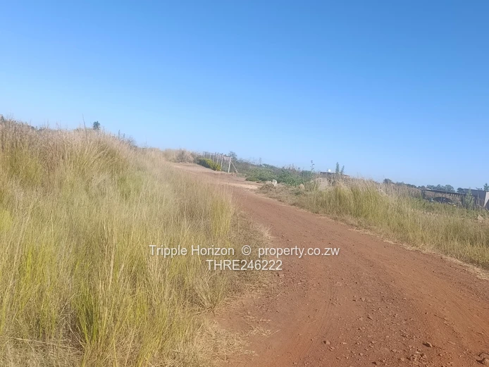 1000m² Norton Stand — Level, built up area