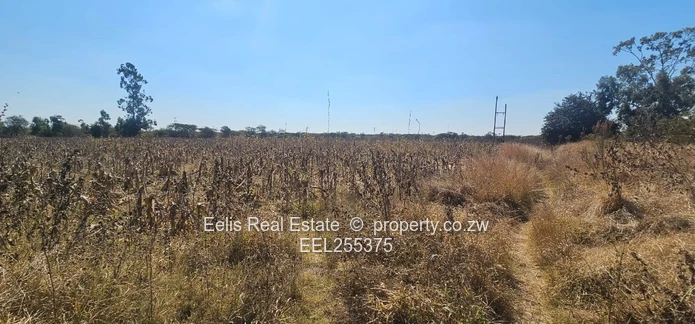 Plot for Sale 
