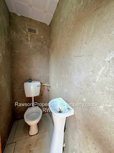 Investment Opportunity 