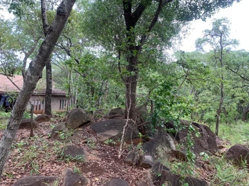 Darwendale  Properties For Sale