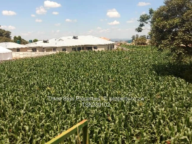 2200Sqm Stand For Sale 