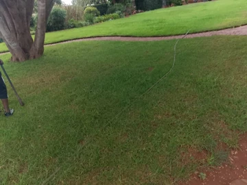 10 Bedroom Townhouse Complex