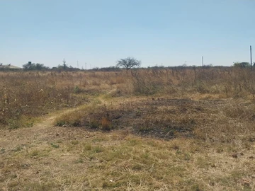 Farm & Agricultural Land