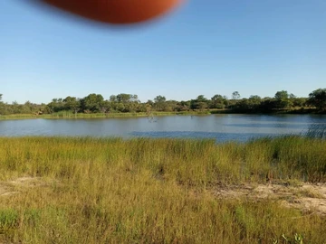 Farm & Agricultural Land