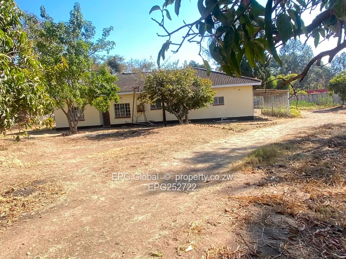Solid Family house available for letting  
