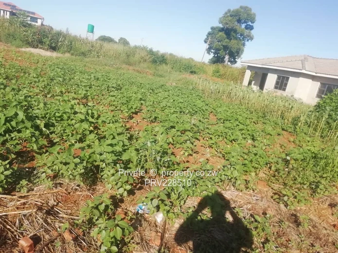 Vacant stand for rent Mt Pleasant Heights. $500 rent and $500 deposit Green house farming purposes.