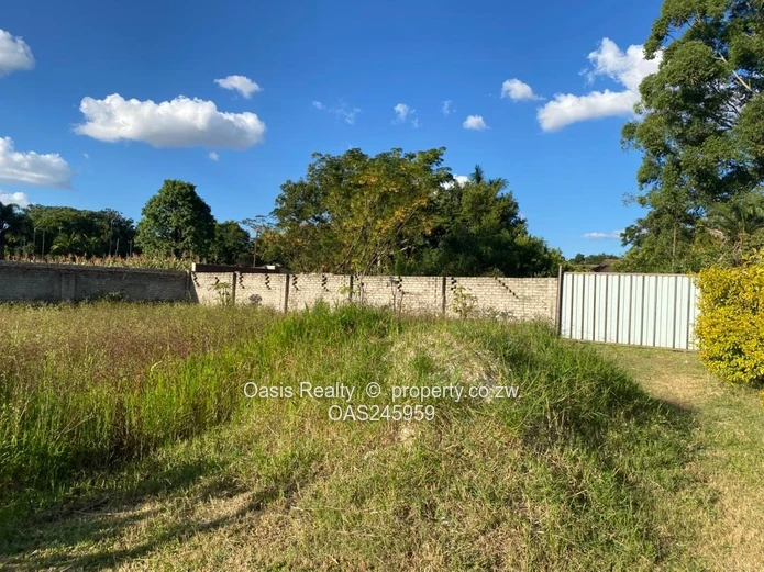 Bluffhill Cluster Stand For Sale 