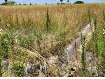 Lendyview Park Marondera